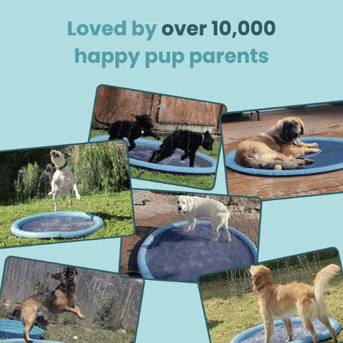 Pup Paradise⢠Sprinkler Pad
