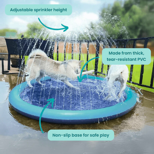 Pup Paradise⢠Sprinkler Pad